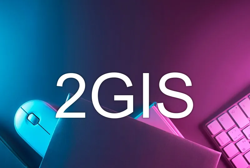 2GIS