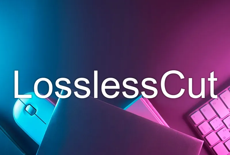 LosslessCut