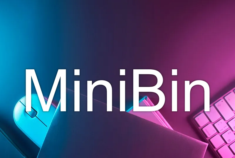 MiniBin